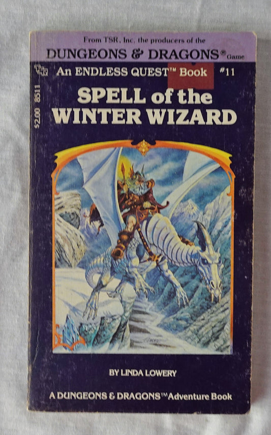 Spell of the Winter Wizard  by Linda Lowery  An Endless Quest Book #11  A Dungeons & Dragons Adventure Book