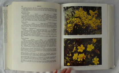 Shrubs and Trees for Australian Gardens by Ernest E. Lord