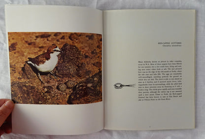 Western Australian Birds by Peter Slater