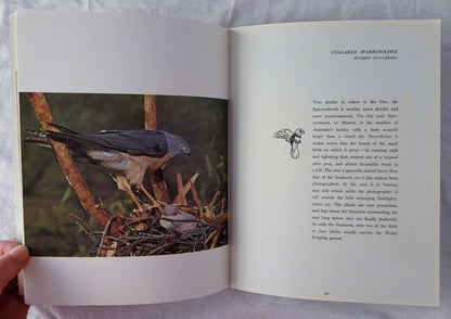 Western Australian Birds by Peter Slater