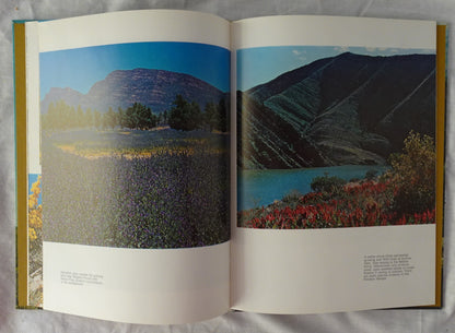 Plants of the Flinders Ranges by Ivan Holliday and Ron Hill