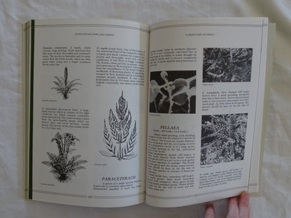 Ferns for the Home and Garden by Gillean Dunk