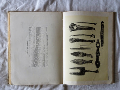 Prehistoric Man by Josef Augusta and Zdenek Burian
