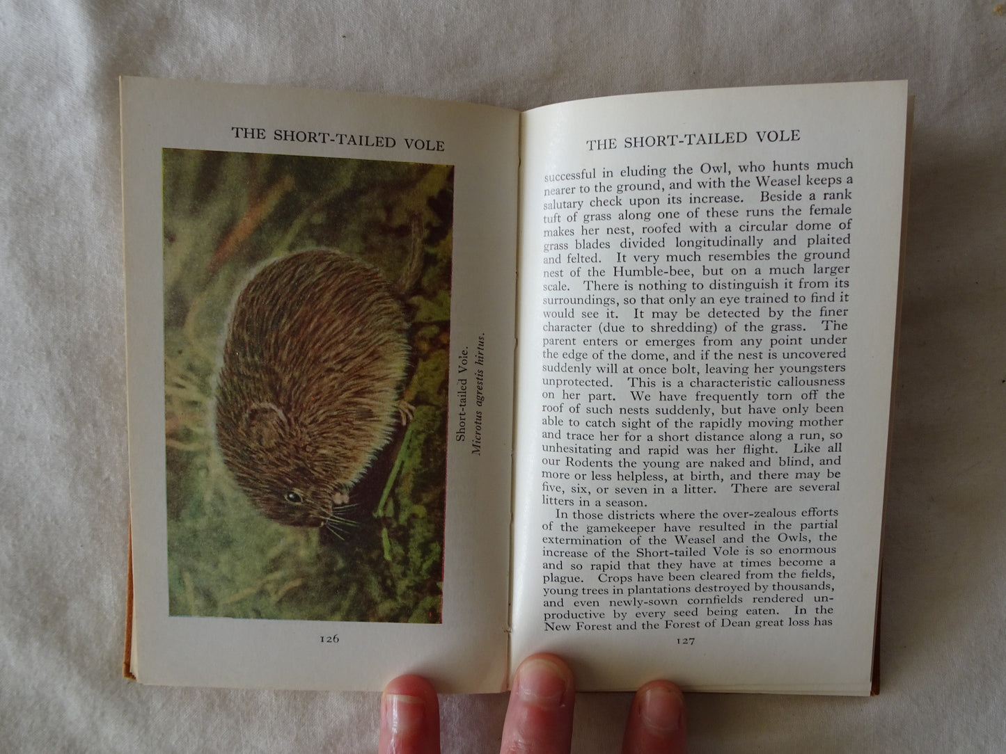 The Observer's Book of Wild Animals of the British Isles by W. J. Stokoe