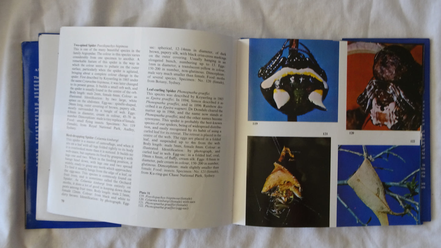 Australian Spiders in Colour by Ramon Mascord