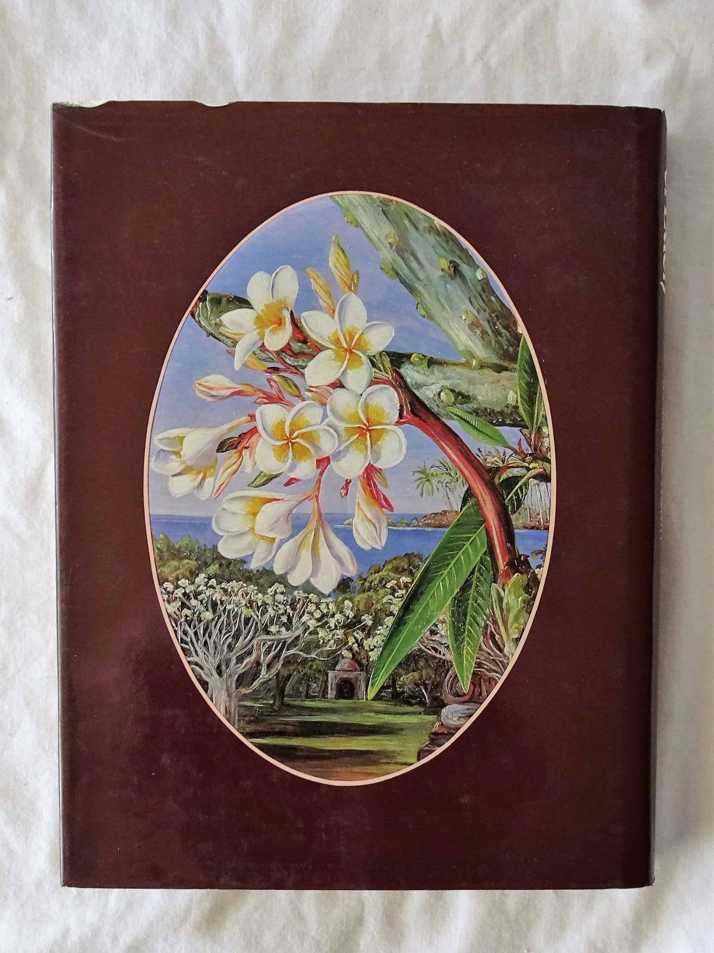 A Vision of Eden by Marianne North