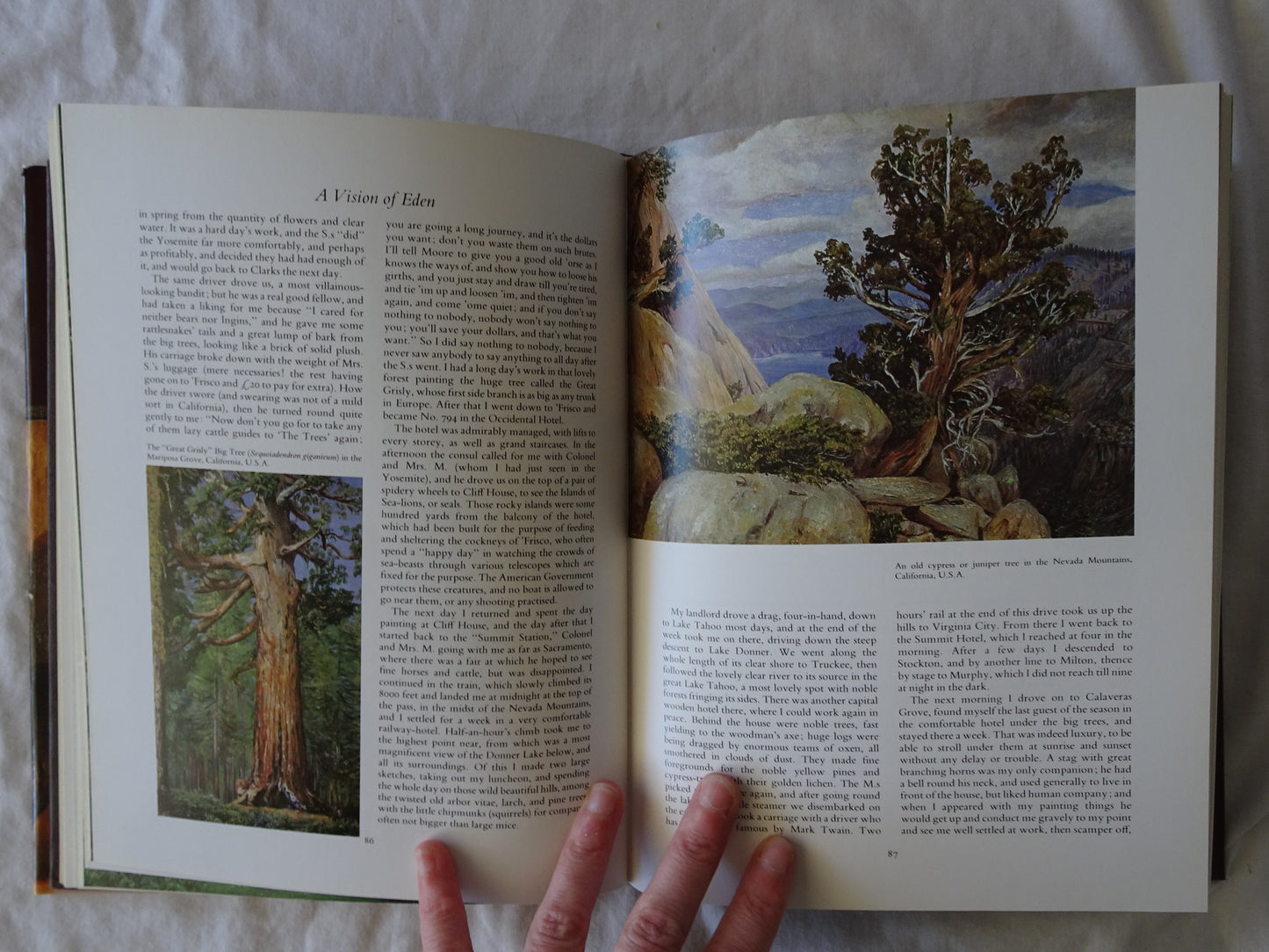 A Vision of Eden by Marianne North