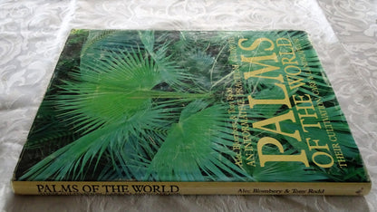 Palms of the World by Alec Blombery & Tony Rodd