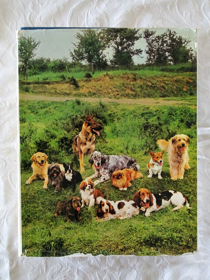 The World Encyclopedia of Dogs by Ferelith Hamilton