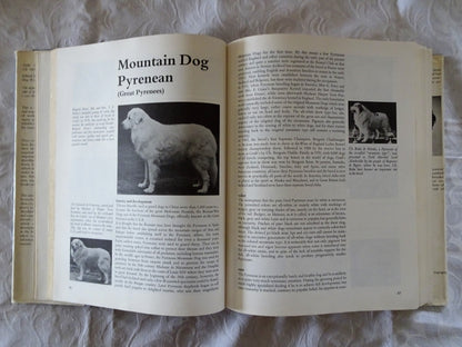 The World Encyclopedia of Dogs by Ferelith Hamilton