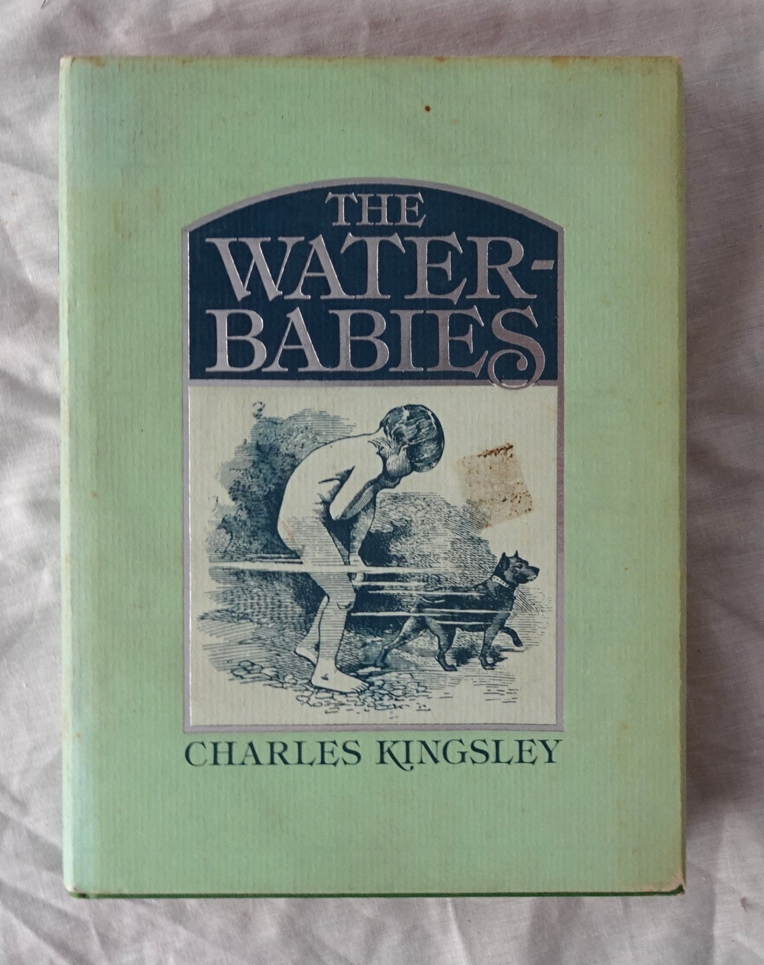 The Water-Babies  A Fairy Tale for a Land-Baby  by Charles Kingsley  Illustrated by Linley Sambourne