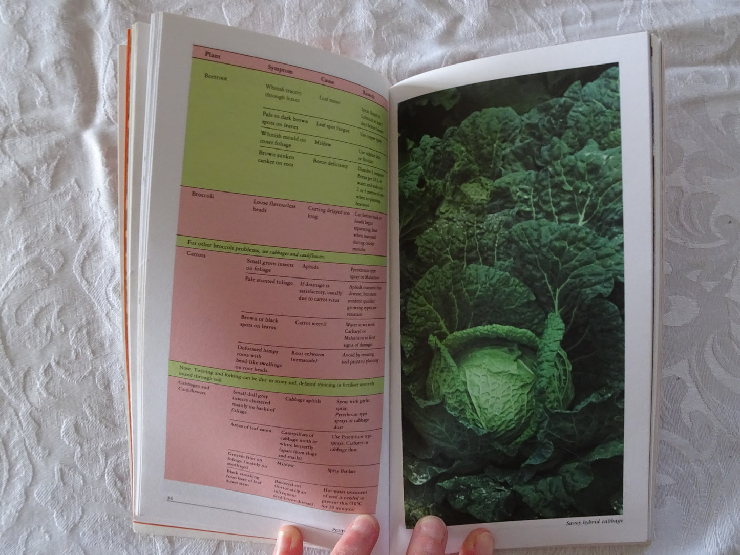 Allan Seale's Garden Book of Pests & Diseases