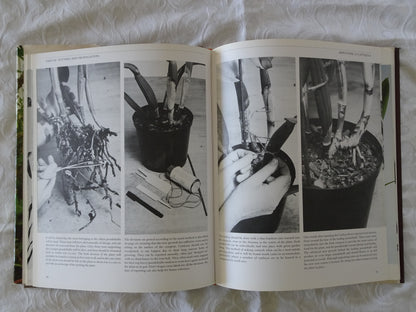 Orchid Growing Illustrated by Brian and Wilma Rittershausen