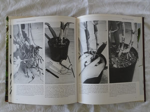 Orchid Growing Illustrated by Brian and Wilma Rittershausen