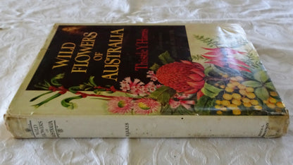 Wild Flowers of Australia by Thistle Y. Harris