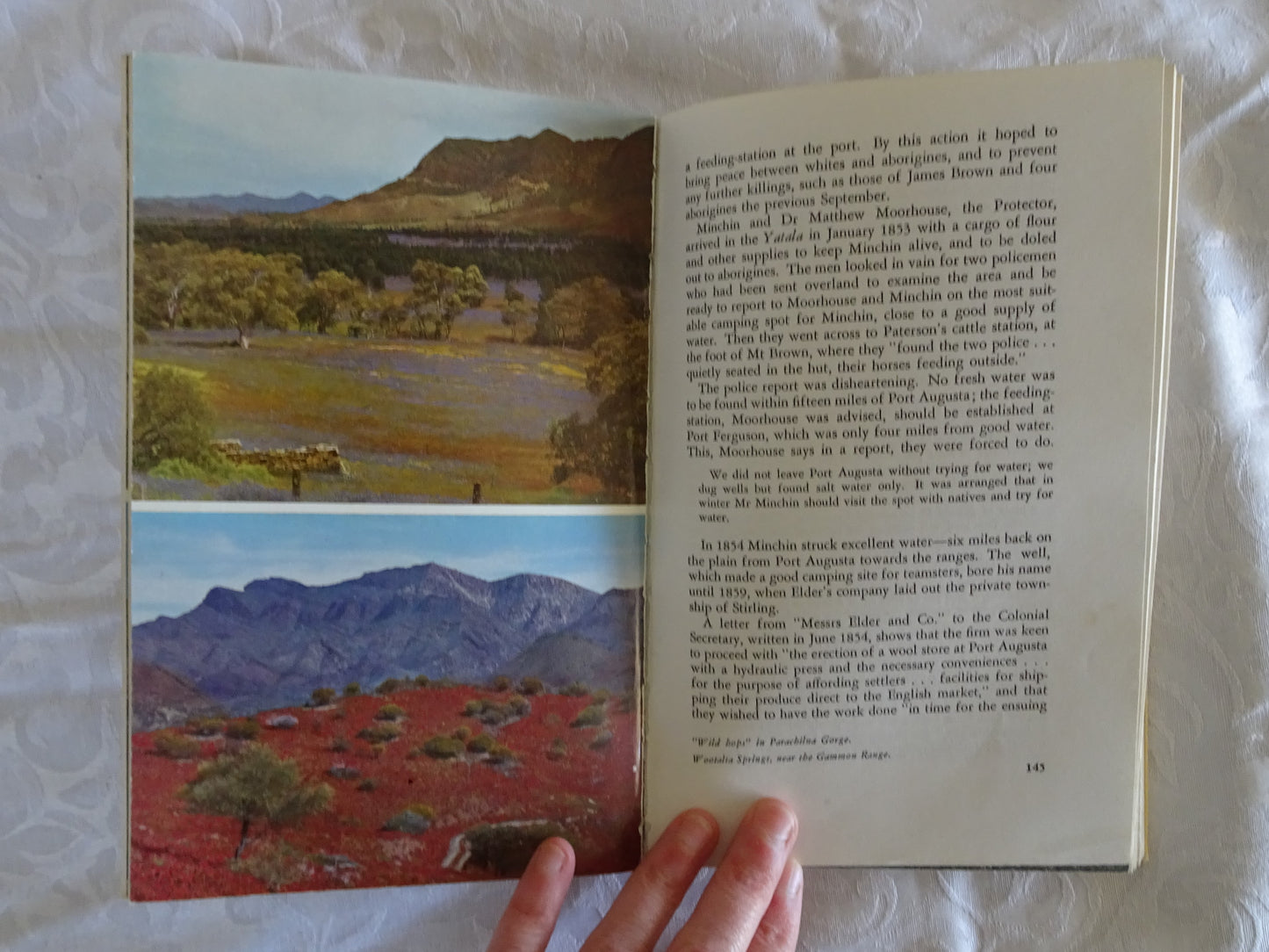 The Story of the Flinders Ranges by Hans Mincham
