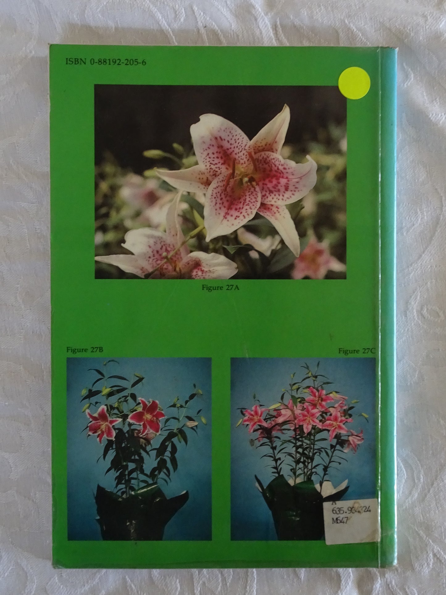 Easter And Hybrid Lily Production by William B. Miller