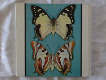 Load image into Gallery viewer, Australian Butterflies in Colour by Alexander Burns