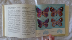 Australian Butterflies in Colour by Alexander Burns