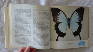 Australian Butterflies in Colour by Alexander Burns