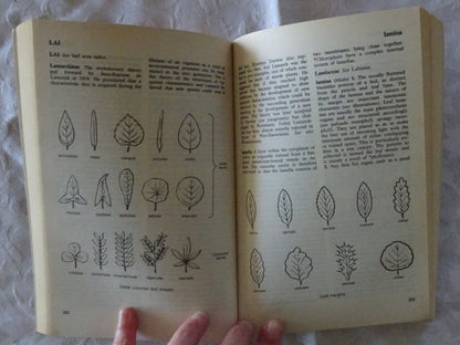 The Penguin Dictionary of Botany by Elizabeth Tootill